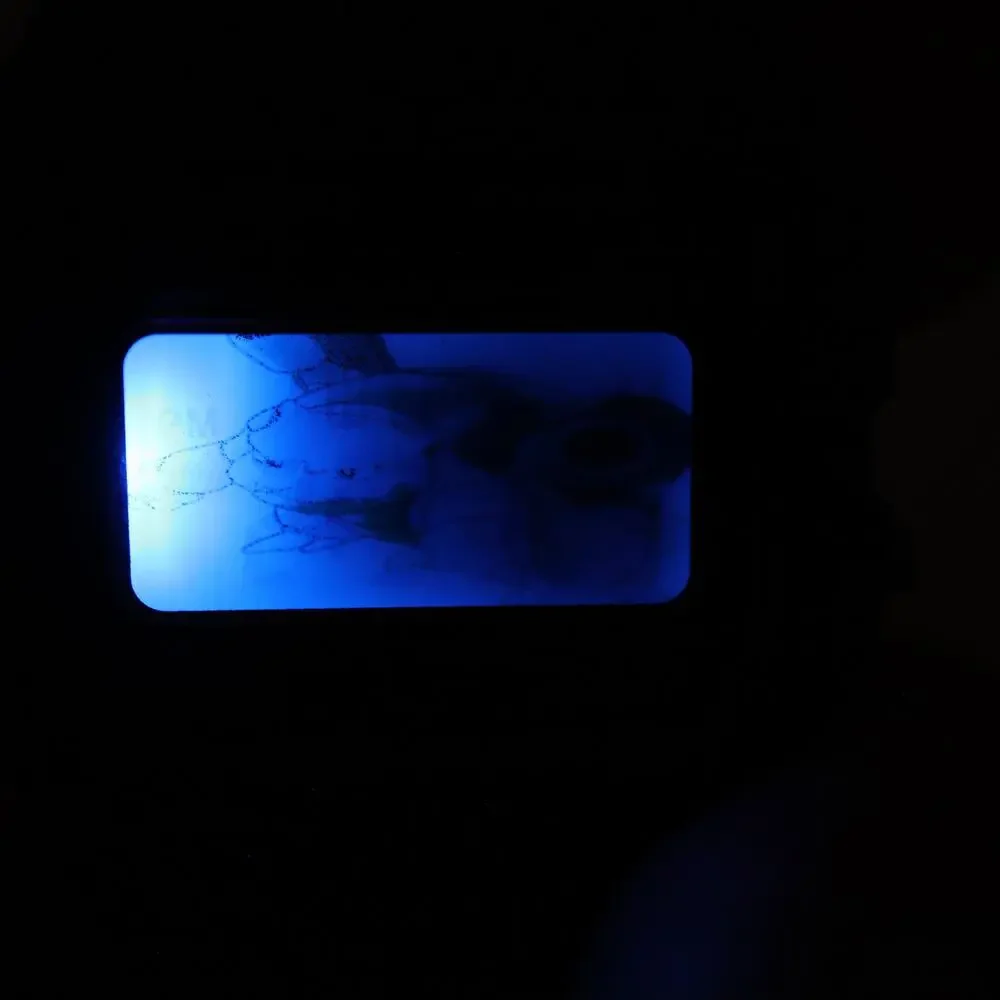 Casio F-91W Custom Blastoise Mod UPGRADED BLUE BACKLIGHT Digital Watch Sugimori